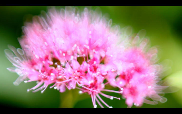 Capture d’écran 2014-08-21 à 01.06.54