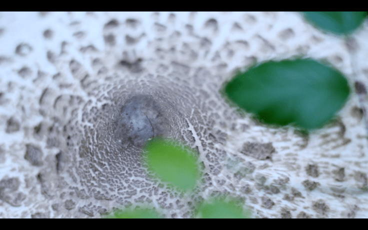 Capture d’écran 2014-08-22 à 17.11.21