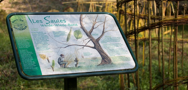 mongi-aouinet-photos-12